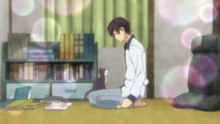 The Cat In My Room Episode 3 IN ENGLISH