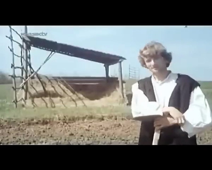 Mecava (1977)