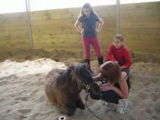 le plus petit cheval du monde , 1m07