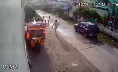 Niña es atacada por siete perros