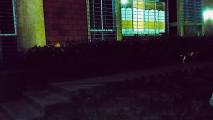 MISU~MISU | movie | 2025 | Official Clip