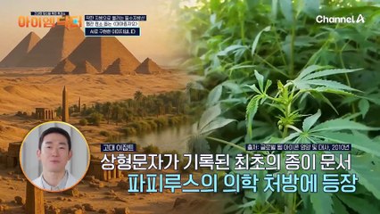 착한 지방이란 무엇일까? 혈관 건강을 돕는 '대마종자유'