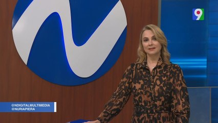 Peleas Peces Betta: Crueldad disfrazada de entretenimiento | Nuria Piera