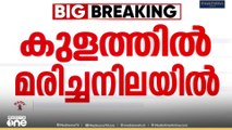 14കാരൻ കുളത്തിൽ മരിച്ചനിലയിൽ; ഇരട്ട സഹോദരനായി തെരച്ചിൽ