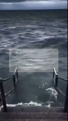 Berkat aura yang terpancar dari dalam diri Beliau.