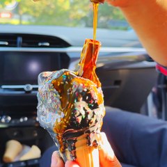 Wild food experiments out of the ordinary 🍦