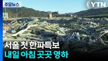 [날씨] 서울 첫 한파특보...내일 아침 곳곳 영하 / YTN