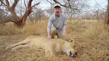 I Saved 1,000 Animals From Dying 🐘 | MrBeast Hindi New Video 2025