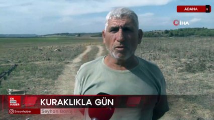 Seyhan Baraj Gölü kurudu, Alman Köprüsü yeniden ortaya çıktı