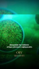 Planktonlar, denizlerin ve tatlı su ekosistemlerinin en önemli unsurlarından biridir.