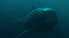 Dunkleosteus, yaklaşık 382-358 milyon yıl önce Geç Devoniyen döneminde yaşamış, soyu tükenmiş devasa bir zırhlı balıktır
