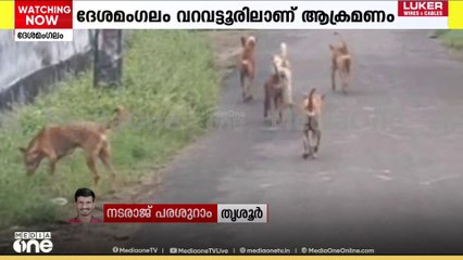 ദേശമംഗലത്ത് തെരുവുനായ ആക്രമണം; ആറ് പേർക്ക് കടിയേറ്റു
