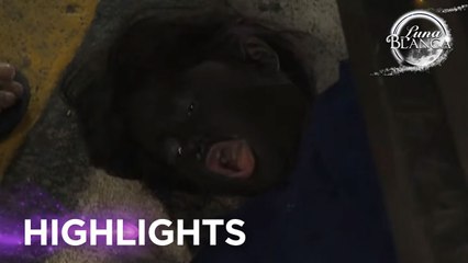 Luna Blanca: ‘Yung gusto mo lang ng libreng pagkain pero madadaganan ka pa ng truck