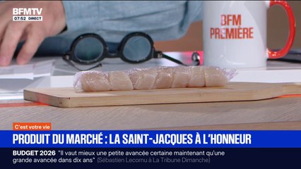 Fêtes de fin d'année: c'est le moment d'acheter les coquilles Saint-Jacques pour faire des économies