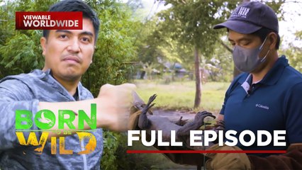 Giant Lizards and the Silent Suckers | Born To Be Wild (Full Episode)