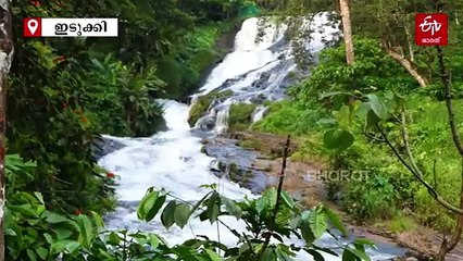 ഏലമല കാട്ടിലൊളിപ്പിച്ച വിസ്‌മയം; അത്രമേൽ സുന്ദരിയായി പാറക്കുഴി വെള്ളച്ചാട്ടം