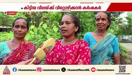 പാലക്കാട് നെൽ കർഷകർ ആശങ്കയിൽ തന്നെ; ആലപ്പുഴയിൽ നെല്ല് സംഭരണം തുടങ്ങി