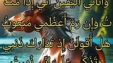 نطفة ما منيت يوم منيت  ،    السموأل