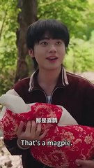 After the story of the adorable lucky baby in the completed drama was overheard by her cannon fodder mother, the mother helped her mother rise to power and not only subdue her cold-faced military officer father but also become the darling of the entire vi