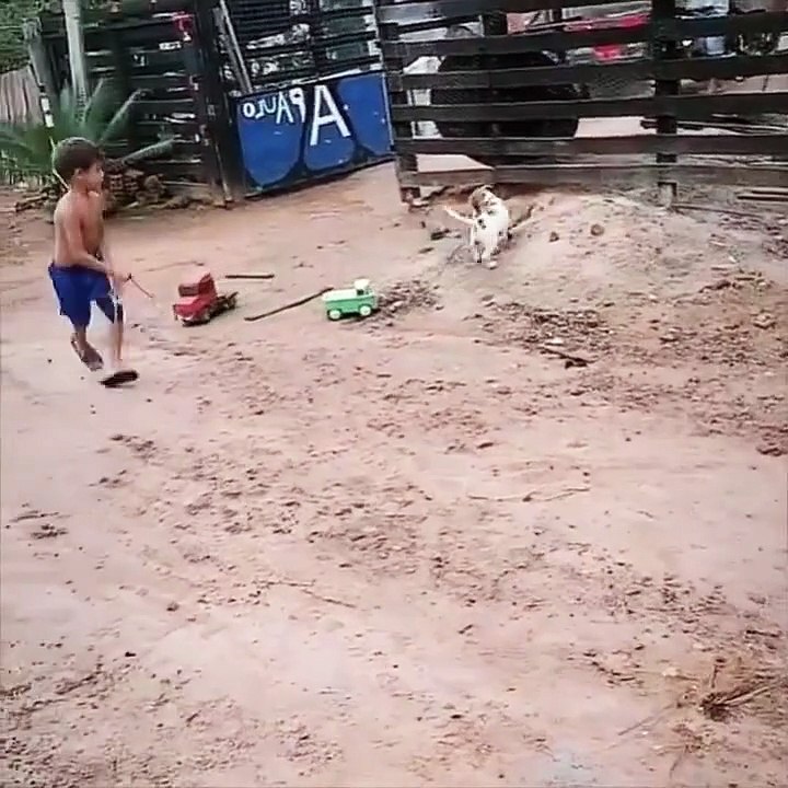Best buddies having fun together…😊
