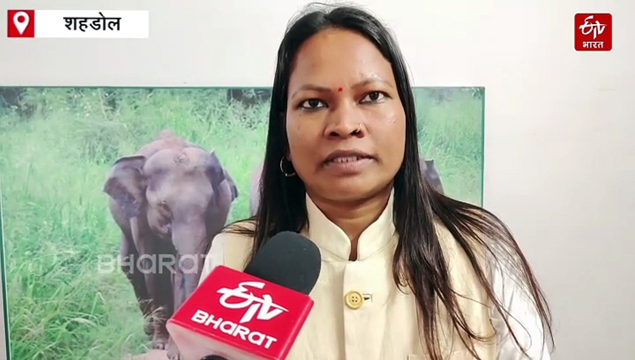 मध्य प्रदेश के 5 जिलों से 10 पैंगोलिन तस्कर गिरफ्तार, जंगल का है ये खास वन्य प्राणी