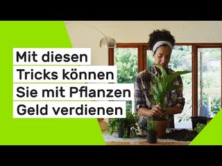 Mit diesen Tricks können Sie mit Pflanzen Geld verdienen