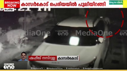 'ആരെങ്കിലും വാതിൽ തുറക്കാമോ' കാസർ​കോട് പെരിയ സ്വദേശിയുടെ വീടിന് മുമ്പിൽ പുലിയിറങ്ങി