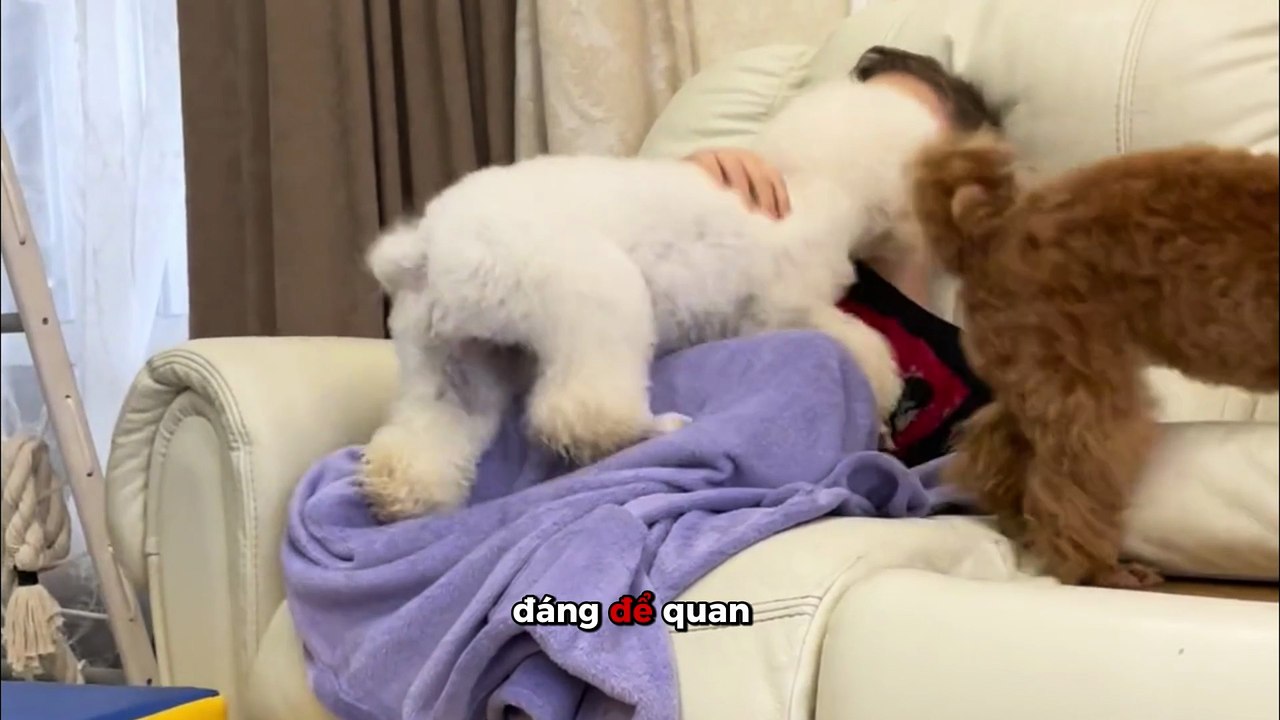 Bảo vệ 24-7, chỉ với một chiếc Vantech V2010 nhỏ gọn