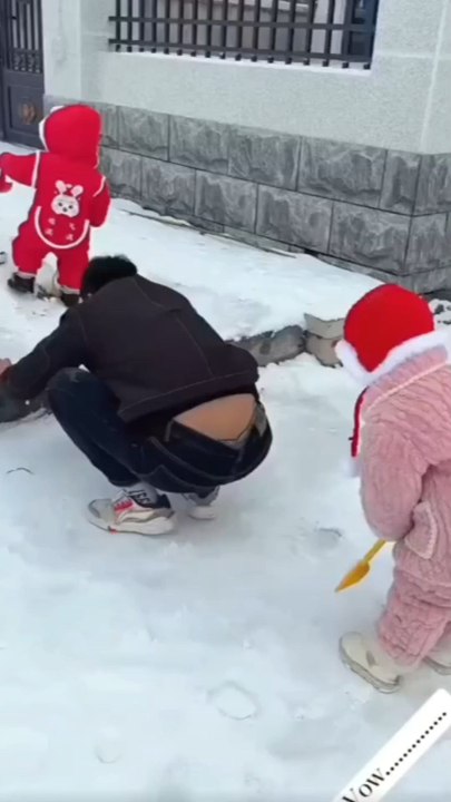 New Funny Videos