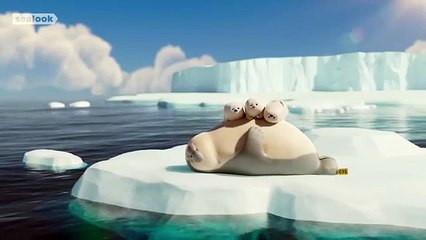 CUTENESS EXPLOSION | Baby Seal Special |