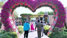 DUBAI Miracle Garden