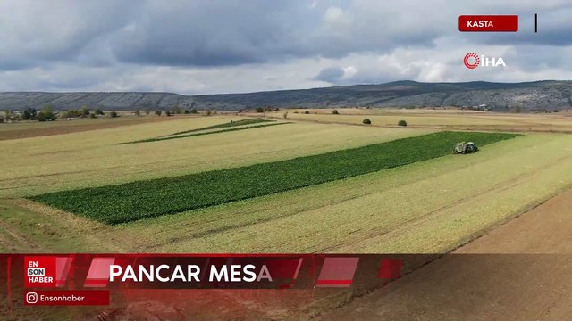Kastamonu'da çiftçilerin zorlu pancar mesaisi devam ediyor