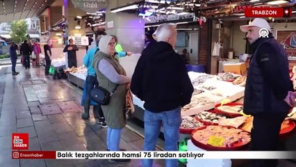 Trabzon’da balık tezgahlarında hamsi 75 liradan satılıyor