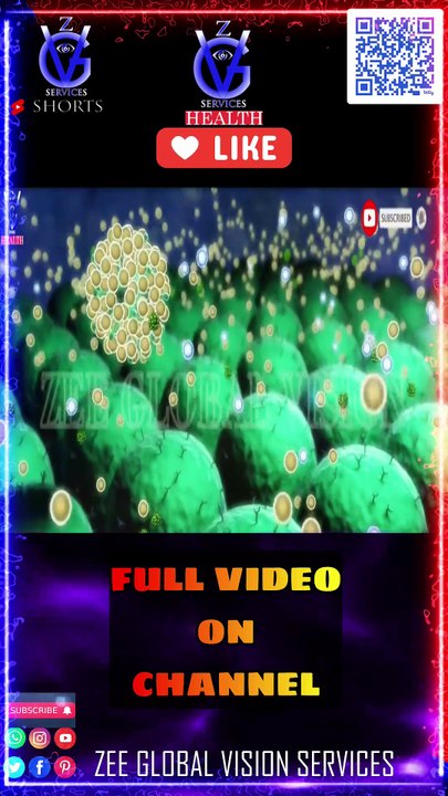 The Hidden Health Benefits of GARLIC Nobody Tells You About