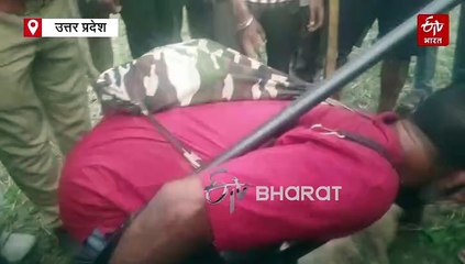 बहराइच में मारा गया आदमखोर भेड़िया; आज सुबह ही डेढ़ साल की बच्ची को बनाया था निवाला, शूटरों ने मारी गोली