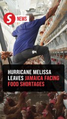 Jamaican farms reel from Hurricane Melissa, fuel fears of food shortages