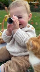 Cat playing with kids boy