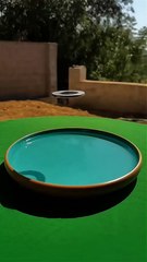 😂😂#shorts #youtubeshorts #trending #viralvideo #viral #comedy