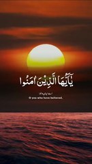 The Holy Quran | Words That Touch the Heart and Guide the Soul #Quran #TilawatEQuran #HolyQuran #IslamicVideo #PeacefulRecitation #SpiritualHealing #QuranKareem