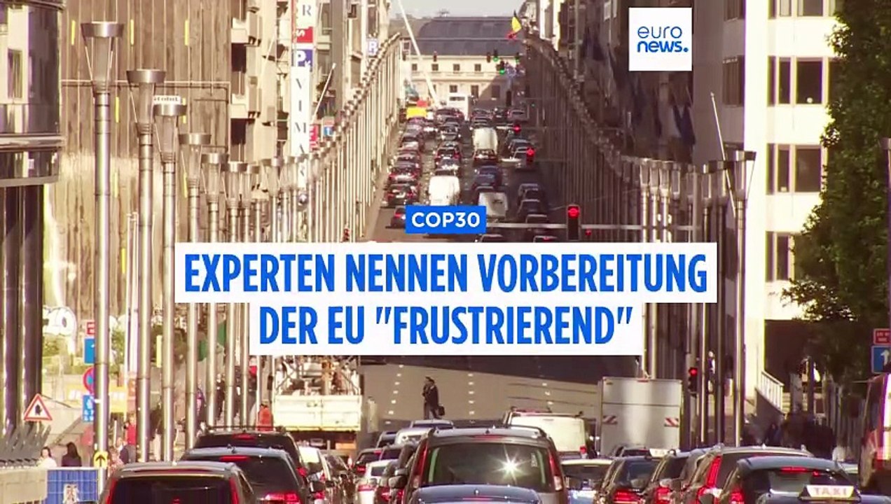 Klimawandel wird nicht auf Ende des Krieges warten: Experte kritisiert EU vor COP30
