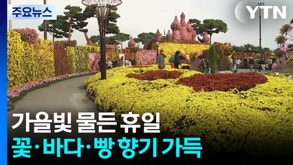 가을빛 물든 휴일...꽃·바다·빵 향기 가득 / YTN