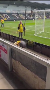 La mascota del St Albans tuvo que ser expulsada del campo por síntomas de embriaguez