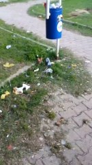 Sinop'ta kirlilik tepkisi