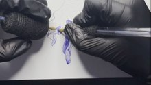 Artist breaks orthodox sketching rules by drawing with both hands simultaneously