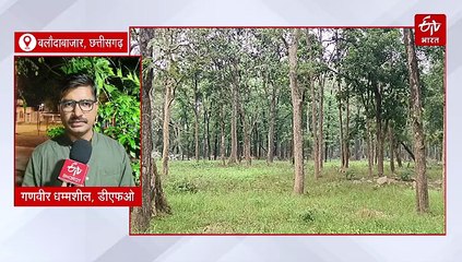 पर्यटकों के लिए खुला बारनवापारा अभयारण्य, लेपर्ड सफारी आकर्षण का मुख्य केंद्र