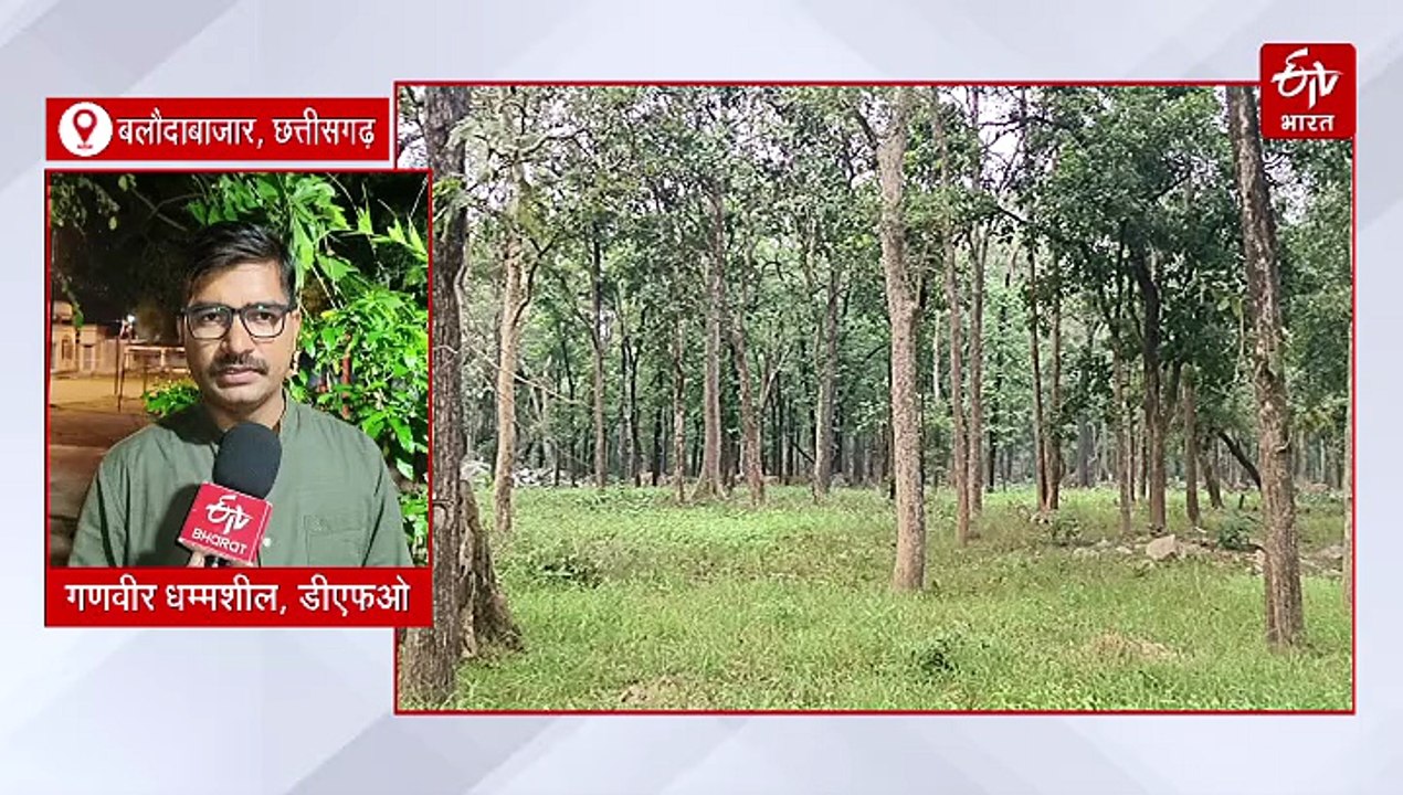 पर्यटकों के लिए खुला बारनवापारा अभयारण्य, लेपर्ड सफारी आकर्षण का मुख्य केंद्र