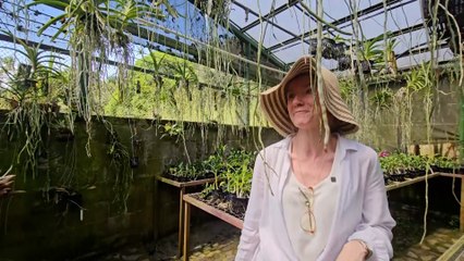 mqn-Entre raíces y flores: un día como jardinera de orquídeas-031125