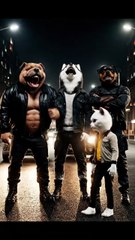 The Rise of the White Cat 🐾 | Emotional Cat vs Dog Story | From Weak to Powerful Hero 🐱🔥