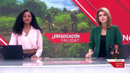 ¿Cómo va la erradicación de cultivos ilícitos en 2025? Esto dice Mindefensa