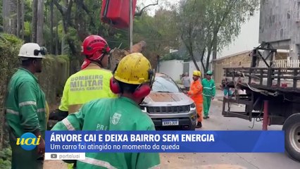 Árvore cai em cima de carro e deixa bairro de BH sem energia